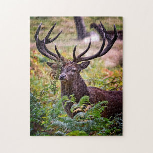 Puzzle Buck en el Parque Richmond - 11x14 - 252 piezas