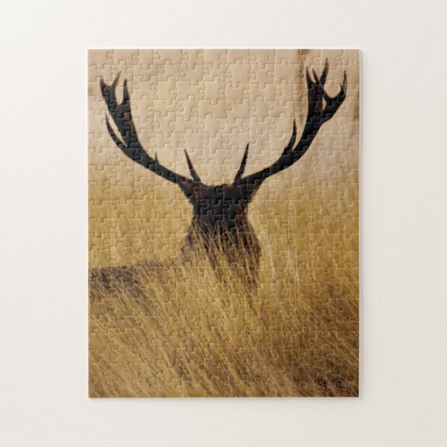 Puzzle Buck in the Brush - 11x14 - 252 piezas (Vertical)
