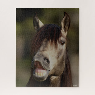 Puzzle Buckskin Lusitano Stallion Flehmen Headshot