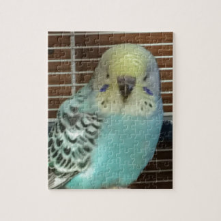 Puzzle Budgie del bebé