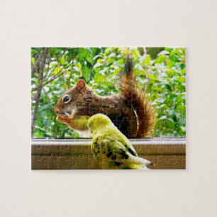 Puzzle Budgie y ardilla roja