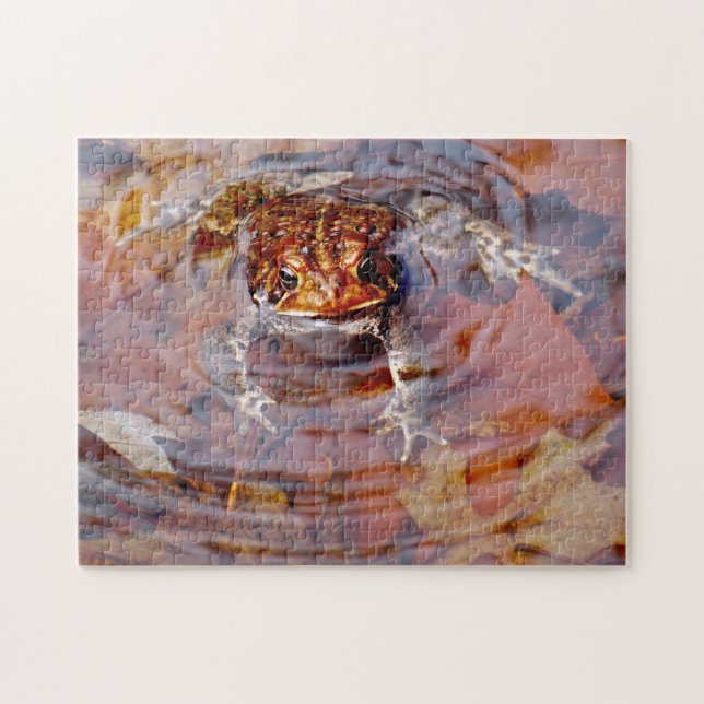 Puzzle Bueno, Hola Amigo Toad (Horizontal)