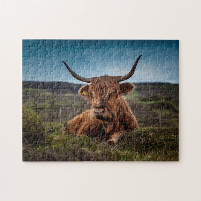 Puzzle Bueyes escoceses. (Horizontal)