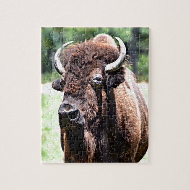 Puzzle Búfalo (Bison) (Vertical)
