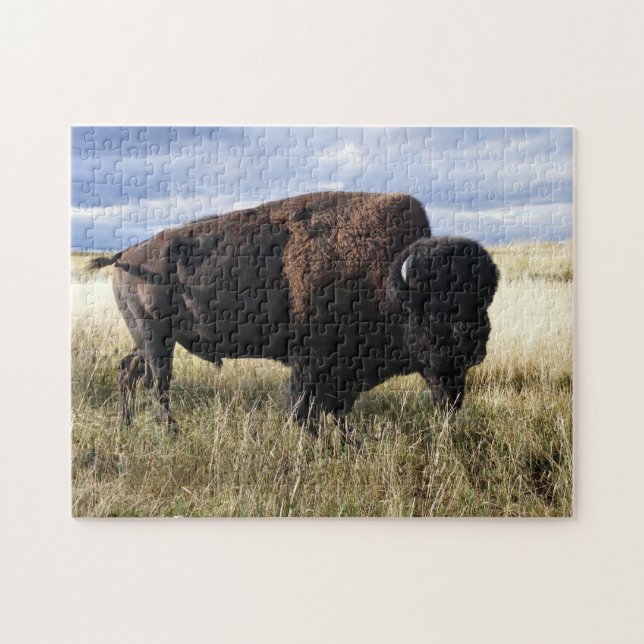 Puzzle Búfalo Bull (Horizontal)