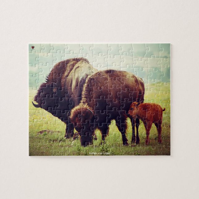 Puzzle Búfalo y terneros (Horizontal)