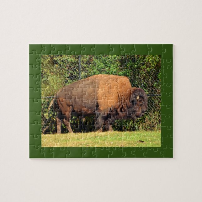 Puzzle Buffalo (Bison) Kansas, Oklahoma, Wyoming (Horizontal)