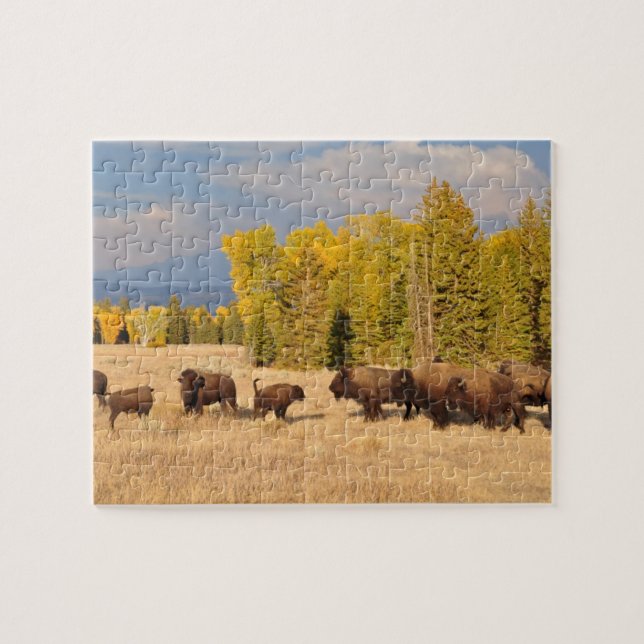 Puzzle Buffalo Wyoming (Horizontal)