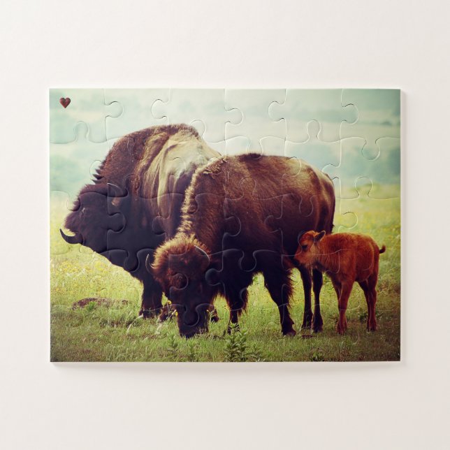 Puzzle Buffalo y Calf Oklahoma (Horizontal)