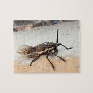 Puzzle Bug de insectos marrones