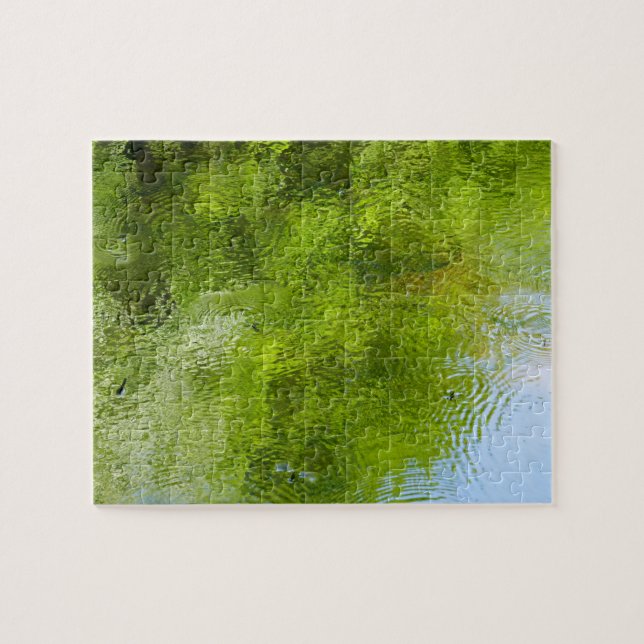 Puzzle Bugs de Agua en el Parque Estatal Laurel Hill (Horizontal)