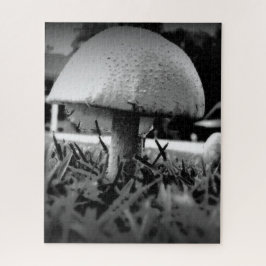 Puzzle Bug's Eye View