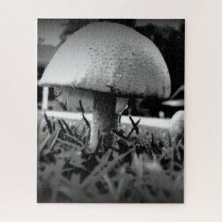 Puzzle Bug's Eye View