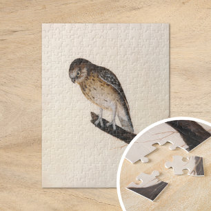 Puzzle Búho pequeño   William Lewin