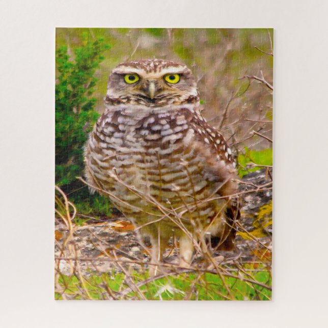 Puzzle Búhos - Aves de Presa. (Vertical)