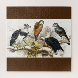 Puzzle buitre