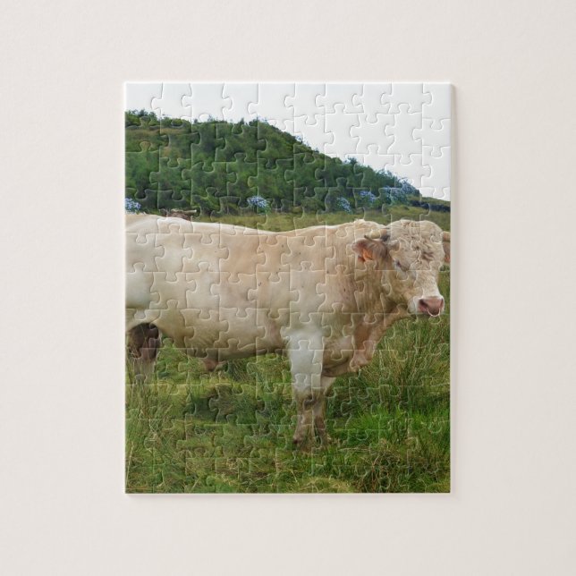 Puzzle Bull (Vertical)