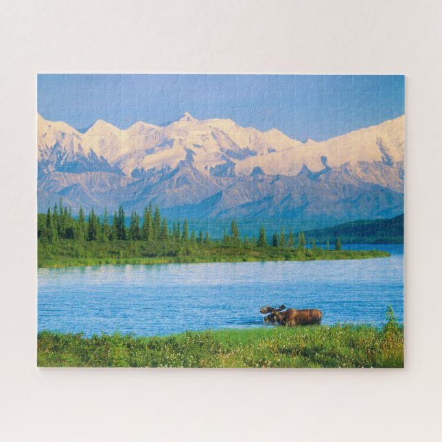 Puzzle Bull moose in Wonder Lake (Horizontal)