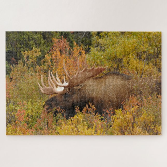 Puzzle Bull Moose | Parque nacional Denali, Alaska (Horizontal)
