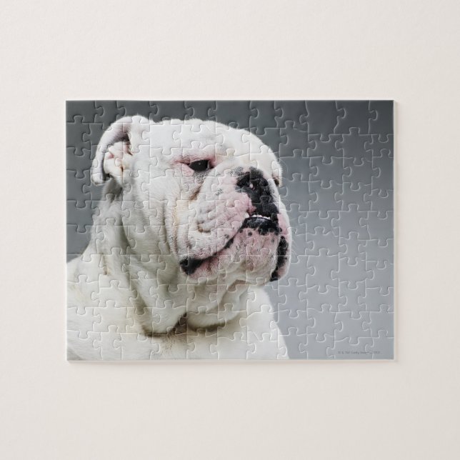 Puzzle Bulldog blanco (Horizontal)