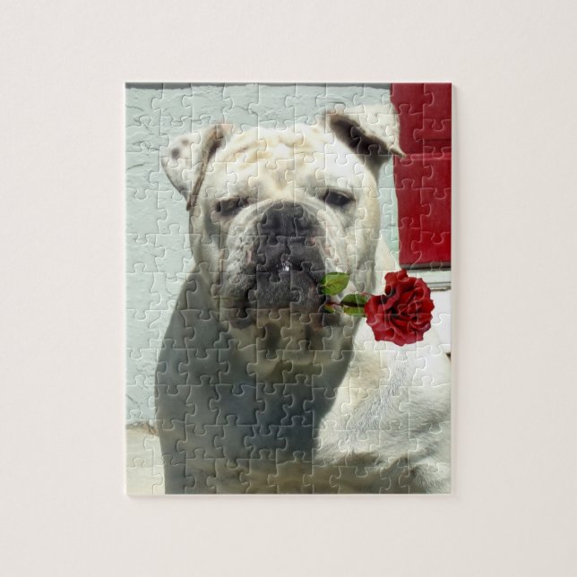 Puzzle Bulldog blanco con rosa (Vertical)