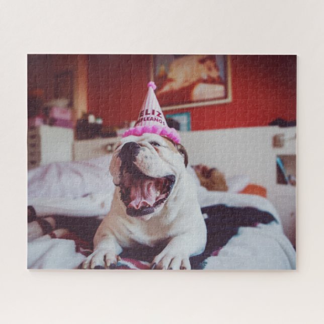 Puzzle Bulldog británico de las imágenes el | de Getty (Horizontal)