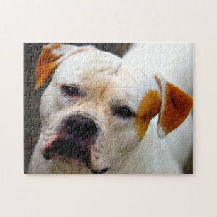 Puzzle Bulldog de Pedigree.