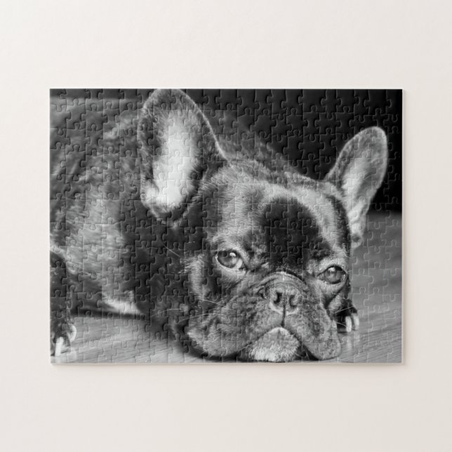 Puzzle Bulldog francés (Horizontal)