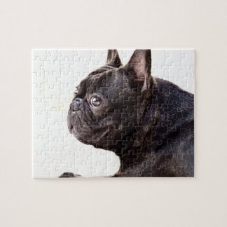 Puzzle Bulldog francés