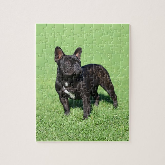 Puzzle Bulldog francés 2 (Vertical)