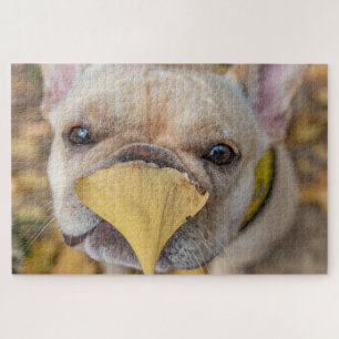Puzzle Bulldog francés adorable
