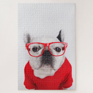 Puzzle Bulldog francés con gafas y camisetas