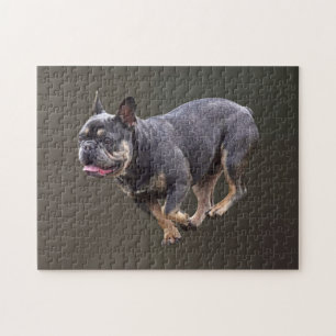 Puzzle Bulldog Francés Corriendo