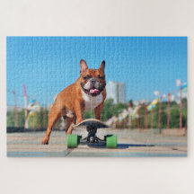 Bulldog francés de Guay Skateboarding