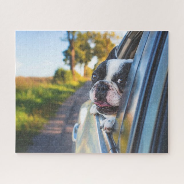 Puzzle Bulldog Francés Divertido Feliz Ventana del Coche (Horizontal)