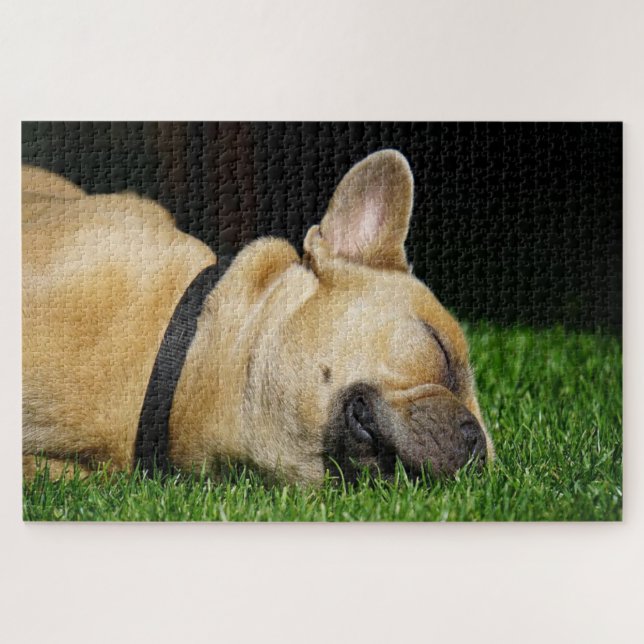 Puzzle Bulldog francés durmiente (Horizontal)