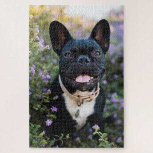 Puzzle Bulldog francés en flores