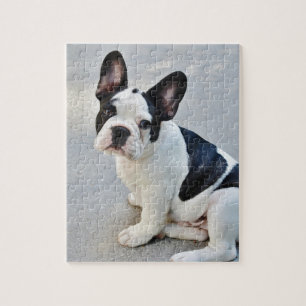 Puzzle bulldog francés sentado