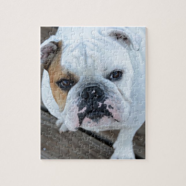 Puzzle Bulldog inglés (Vertical)