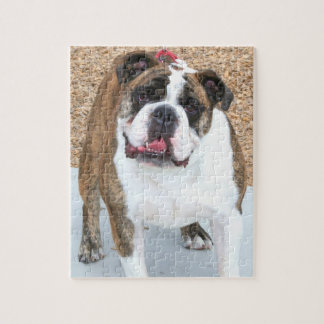 Puzzle bulldog inglés
