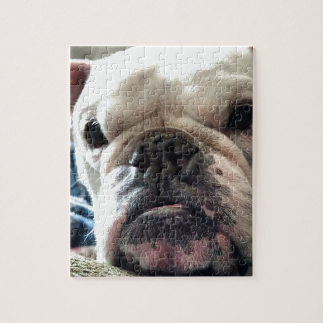 Puzzle Bulldog inglés (Vertical)