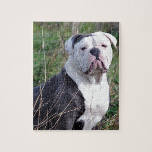 Puzzle Bulldog inglés