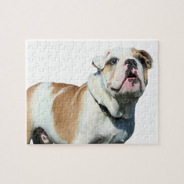 Puzzle bulldog inglés (Horizontal)