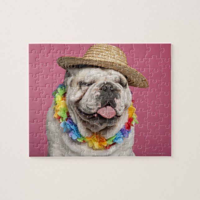 Puzzle Bulldog inglés (18 meses de edad) con una paja (Horizontal)