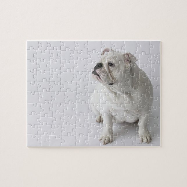 Puzzle Bulldog inglés blanco (Horizontal)