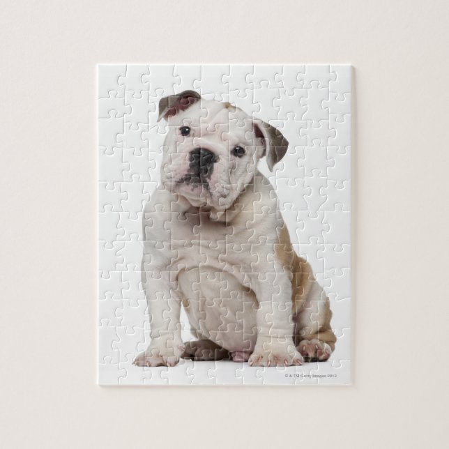 Puzzle Bulldog inglés cachorro (2 meses de edad) (Vertical)