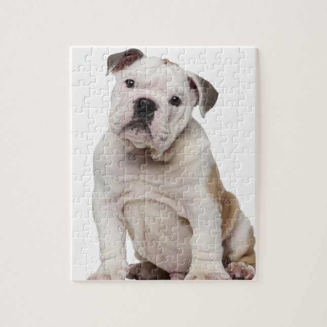 Puzzle Bulldog inglés cachorro (2 meses de edad) (Vertical)