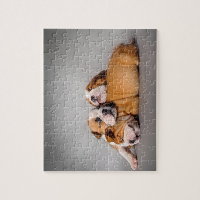 Puzzle Bulldog inglés durmiente (Vertical)