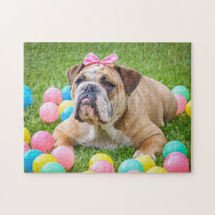 Puzzle Bulldog inglés gracioso 