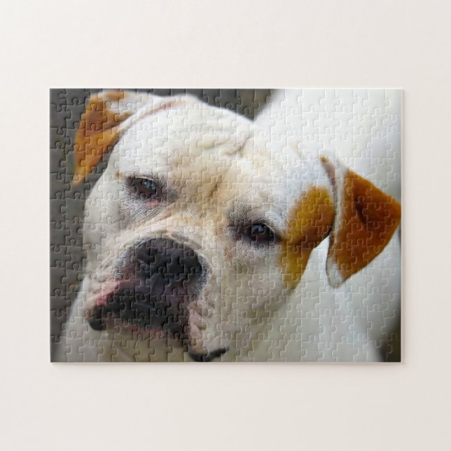 Puzzle Bulldog pedigrí. (Horizontal)
